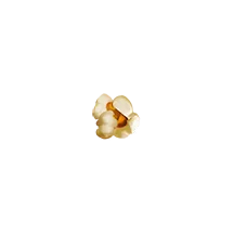 Pirots 2 Popcornsymbool