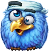 Pirots X Vogel 4